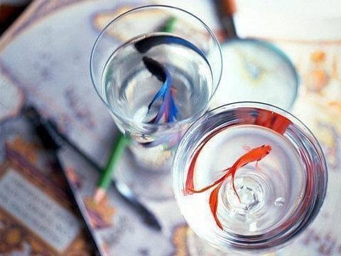 精选32个科技感微信网名，总有一款适合你