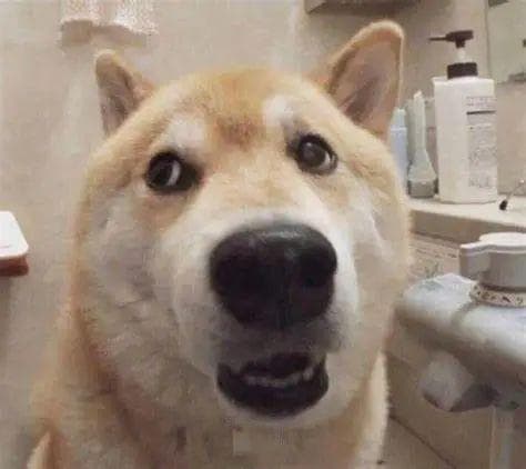 人如其名？| 姓名对人多方面的影响