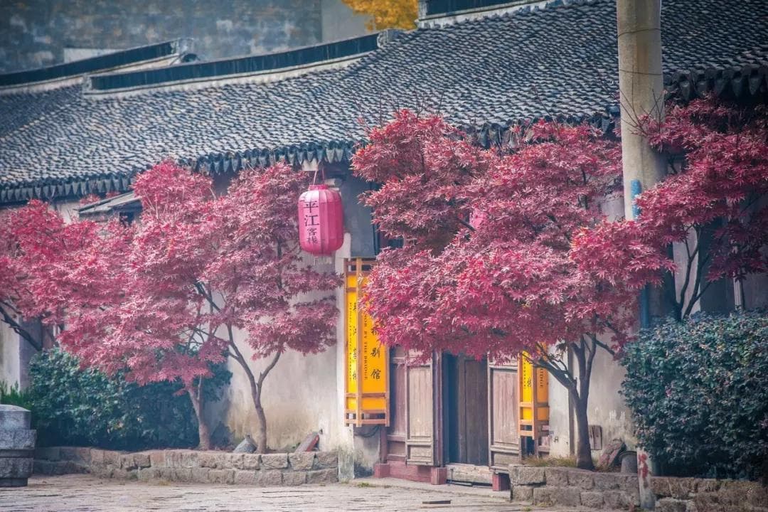 8首时光诗词：欲买桂花同载酒，终不似，少年游