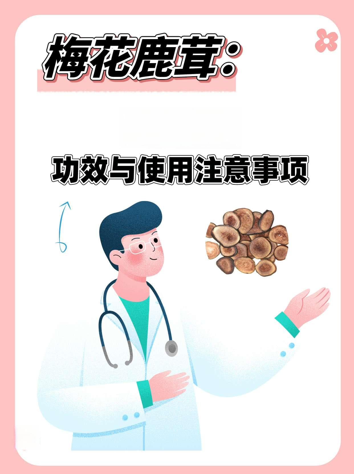 梅花鹿茸：揭秘成分、功效与使用注意事项