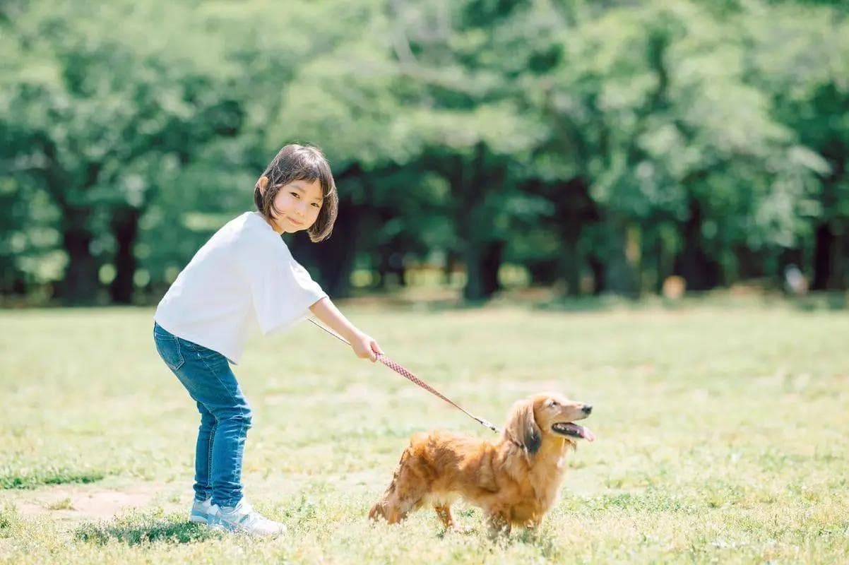 让孩子与小动物擦出爱的火花：超实用亲子互动指南！