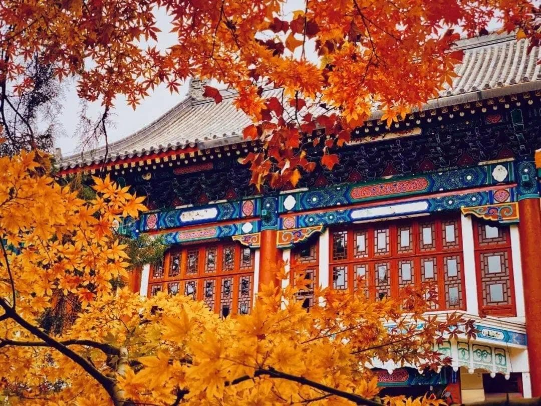 从北大红楼到清华大礼堂：中国高校建筑里的百年学脉