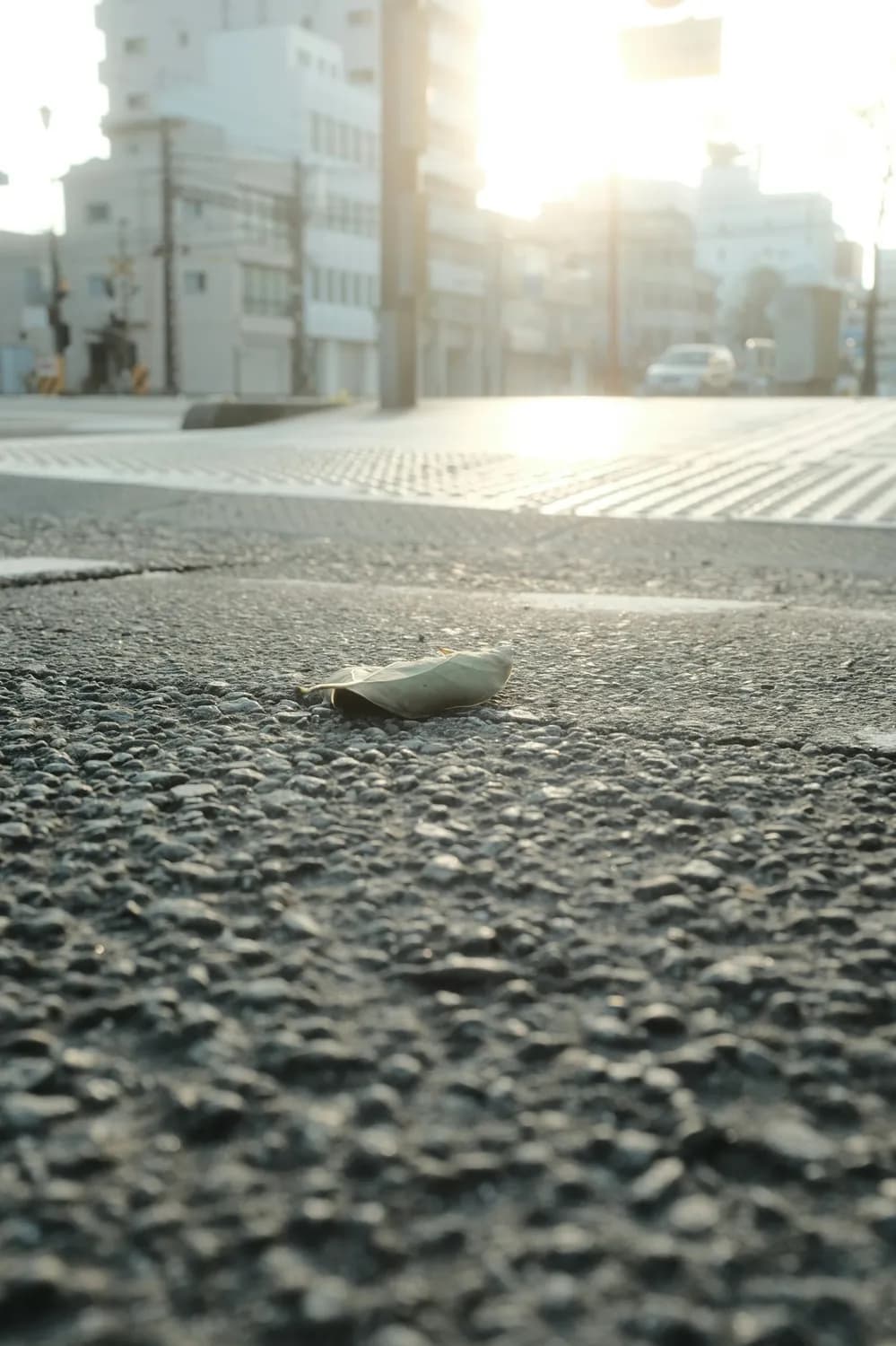梦境中捡钱暗示财运爆棚？心理学家揭秘！