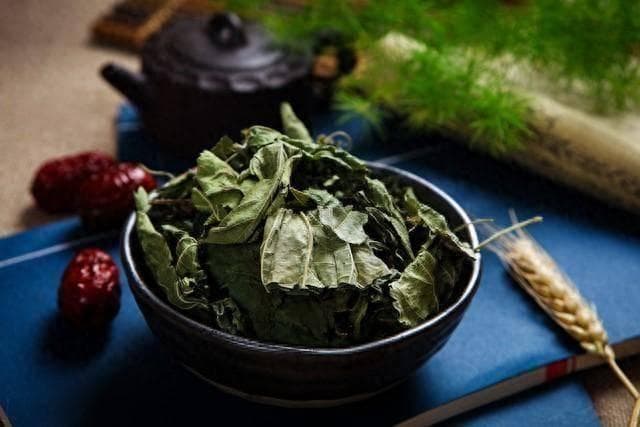 经常喝桑叶茶，身体会发生什么变化？医生：或能缓解4种病