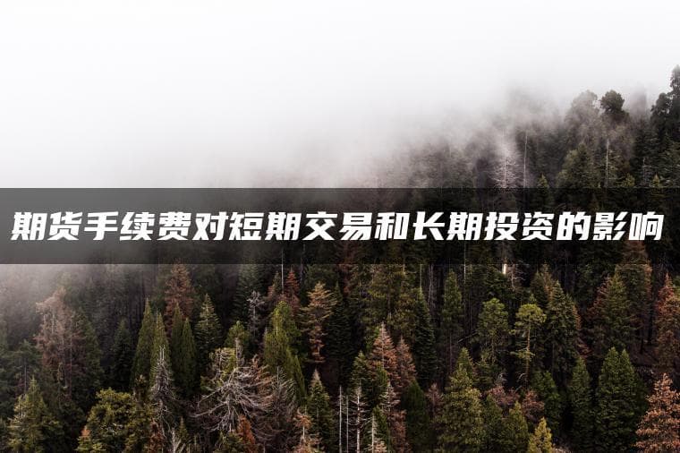 期货手续费对短期交易和长期投资的影响
