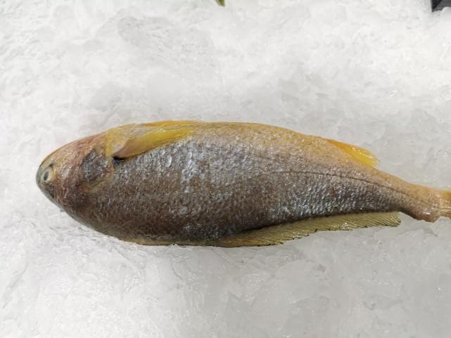 这鱼再贵也要吃，一健脑，二护眼，三增免疫，不懂吃真可惜！