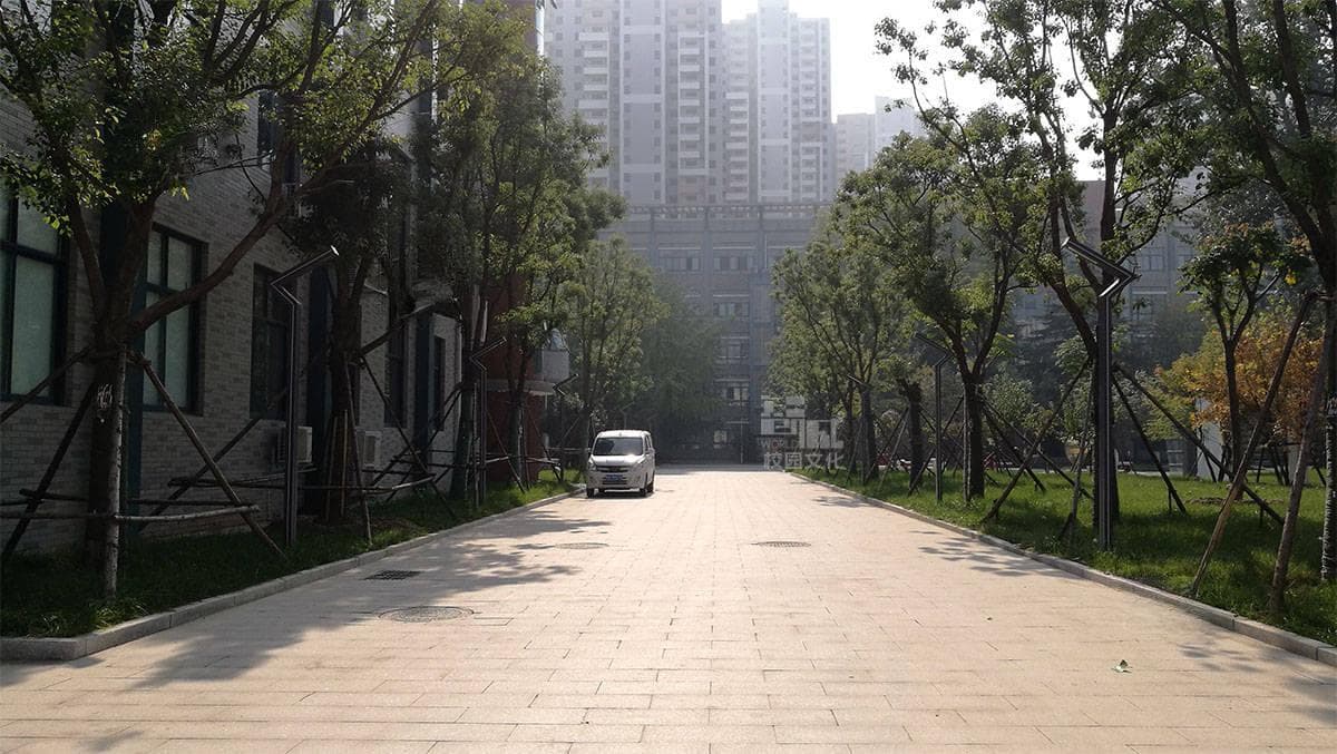 校园文化建设经验谈：老旧学校如何通过校园景观改造提升校园环境美观度？