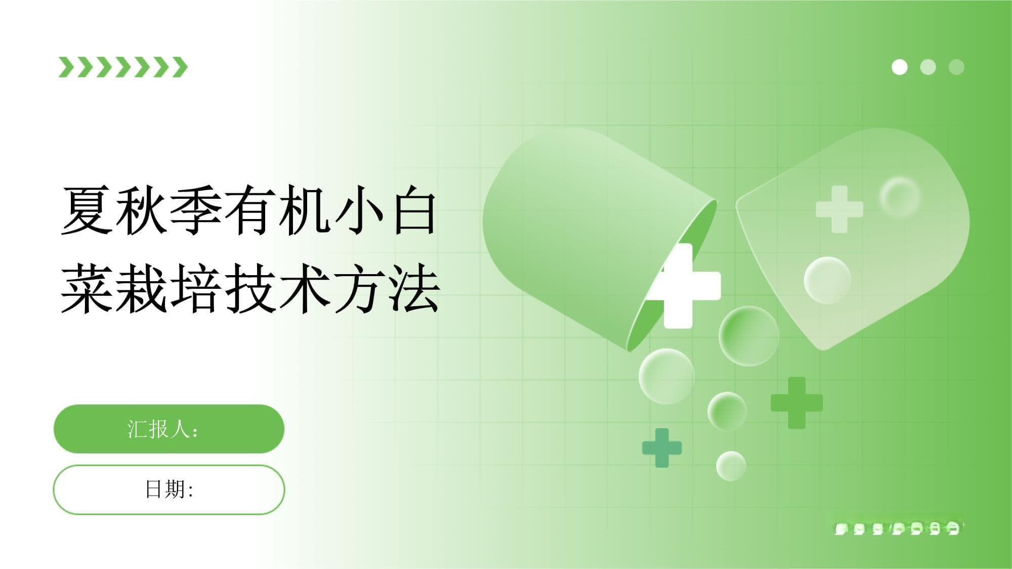 夏秋季有机小白菜栽培技术方法