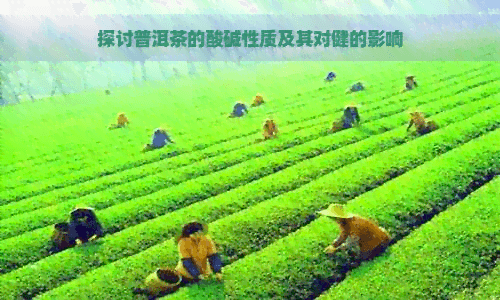 探讨普洱茶的酸碱性质及其对健康的影响
