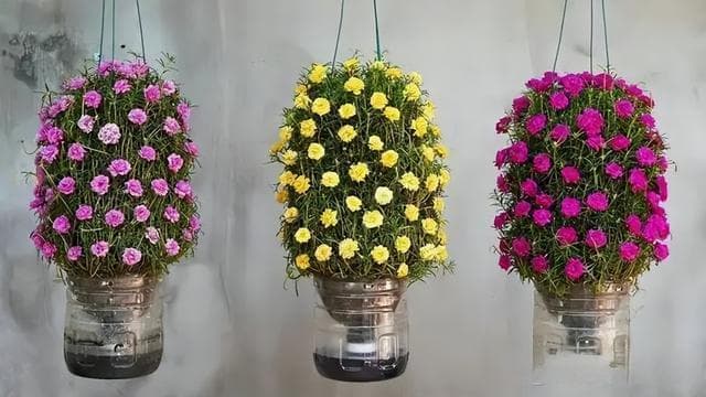 “空油桶”别扔了，简单一处理，用来养花、种菜，超实用，还环保