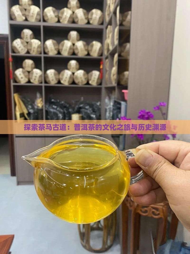 普洱茶养生
