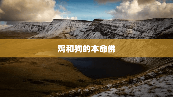 鸡和狗的本命佛