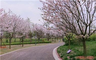 交通事故责任认定的标准及最新处理规定