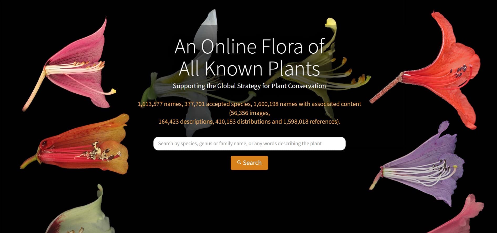 29个植物科普类网站大赏，开启植物探索之旅（下）