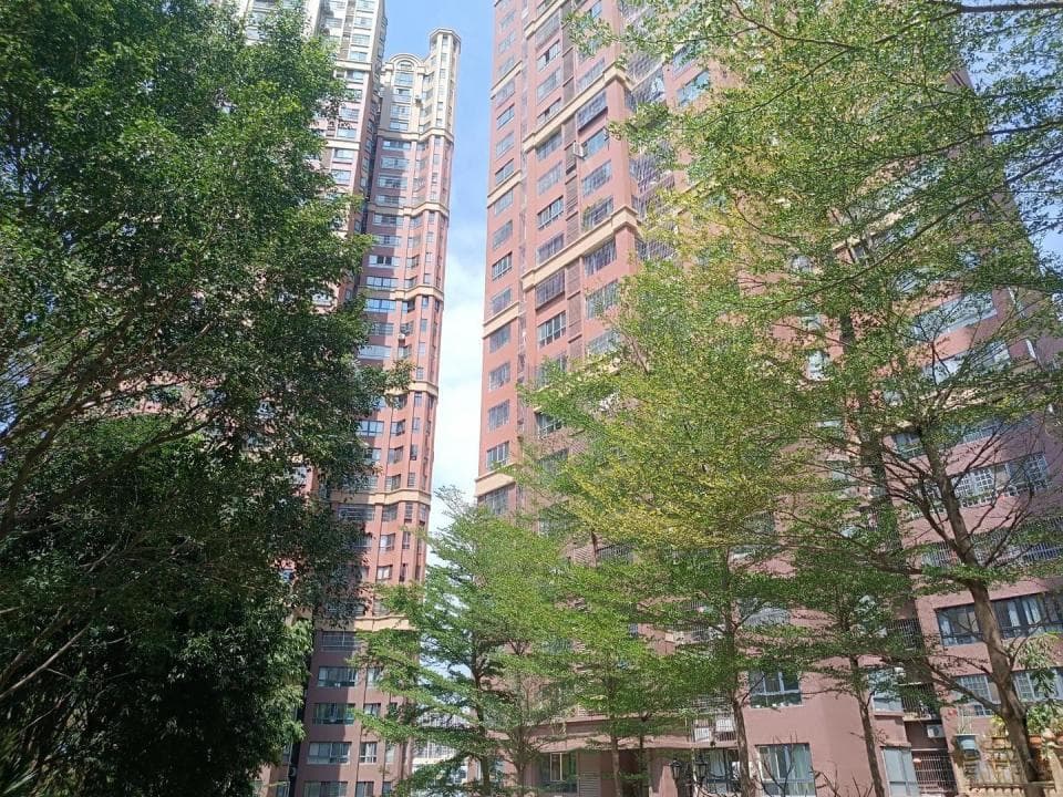 卫生间共用下水管道破裂，房屋被淹受损！女子起诉楼上36户业主及物业索赔被驳回