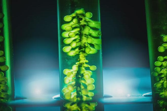 全母乳还是奶粉喂养？科学研究：这样喂平均智力提高6%