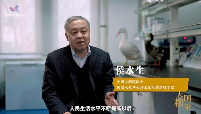 从"鸭力山大"到"吃鸭自由"：院士揭秘一只鸭的"增值密码"