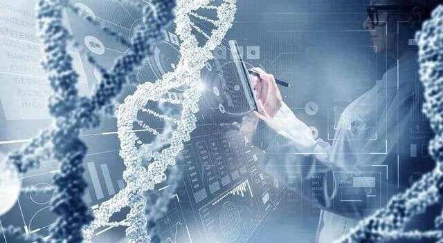 代谢管理革命：科学验证寿命延长7.2年的细胞密码