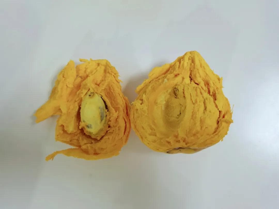 长在树上的“甜鸡蛋黄”，抗氧化物质含量高，营养丰富又好吃
