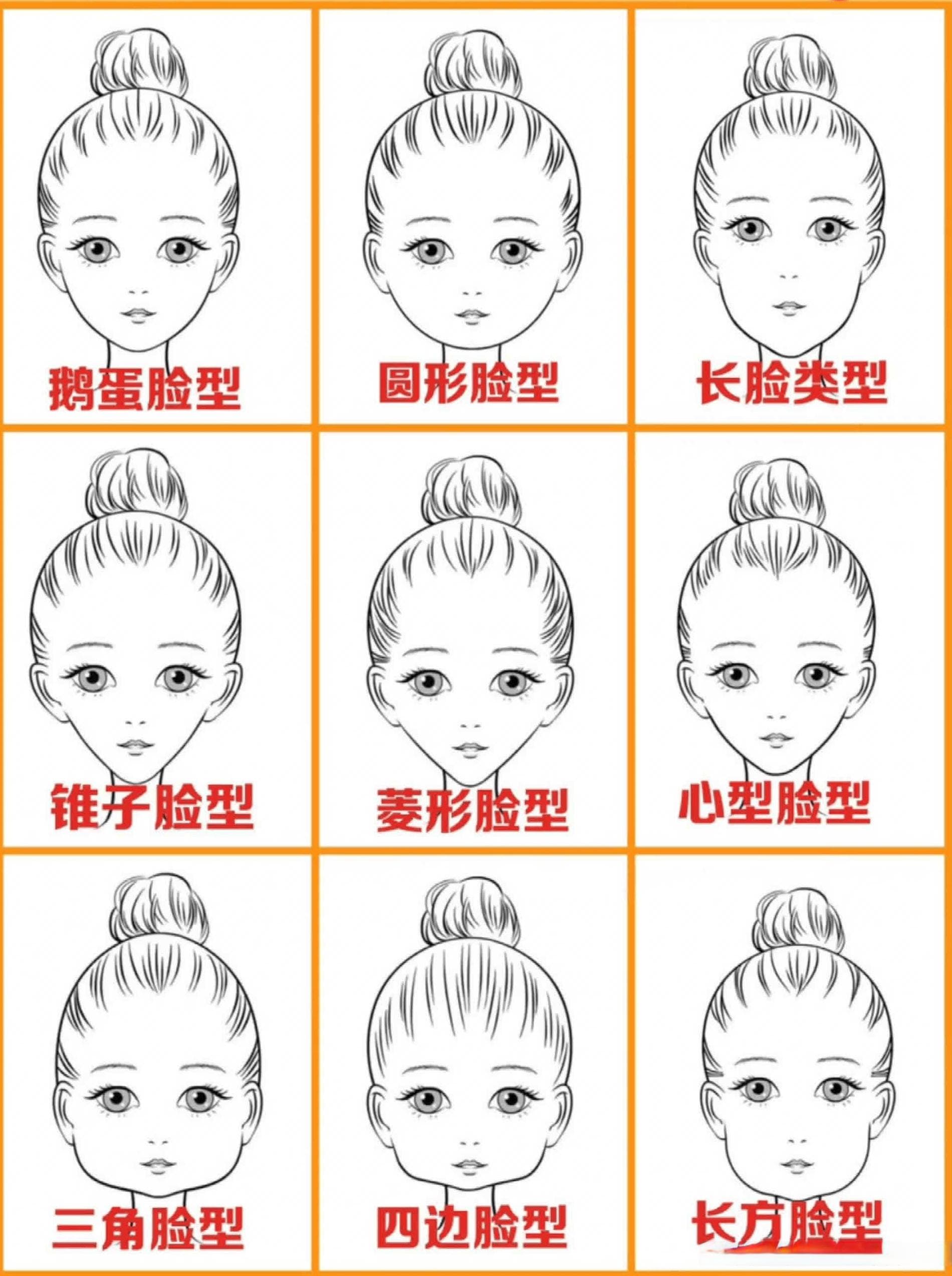 脸型的美学分析：从黄金比例到轮廓线条