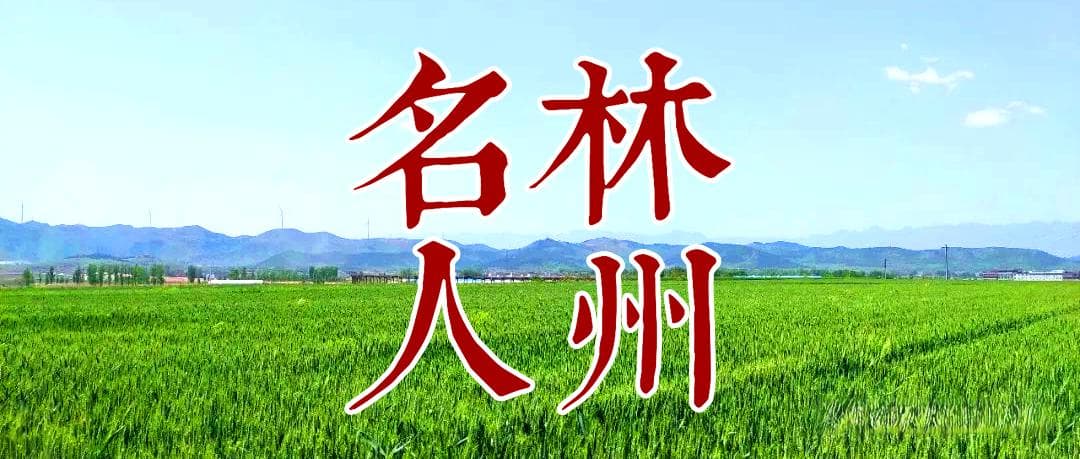 林州名人：从书香门第走出的总统府顾问——李见荃