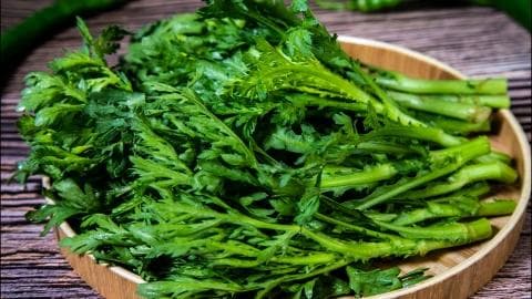 茼蒿不能和什么一起吃