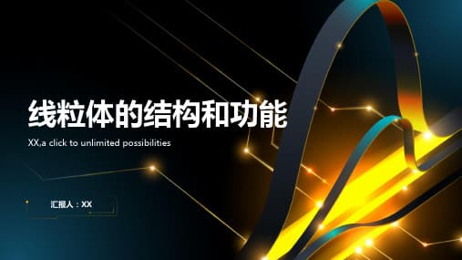 线粒体：细胞的能量工厂与生命活动调控中心