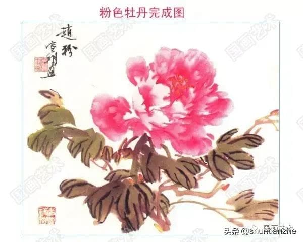 牡丹九大色系特点与画法