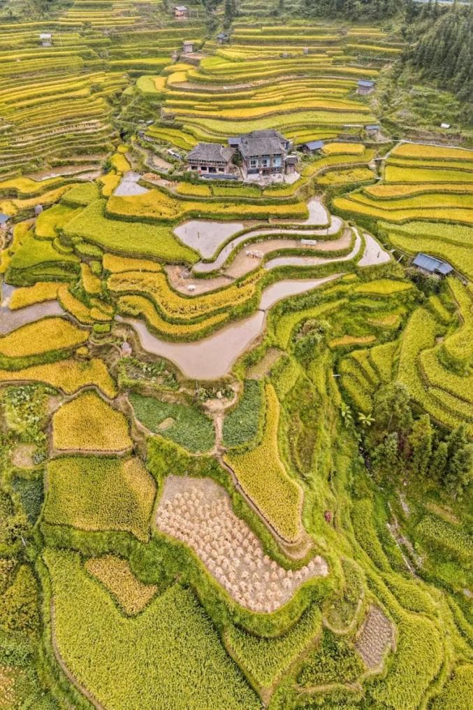 贵州六大梯田秋日美景：金黄稻浪与青山绿水的绝美邂逅