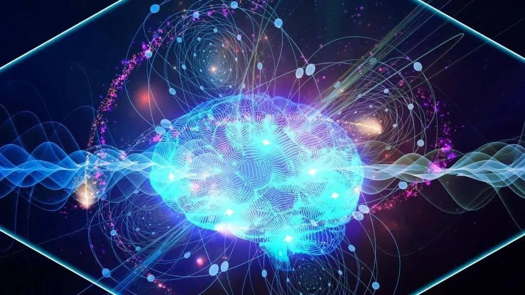 通往大脑量子计算：大脑中量子纠缠的来源