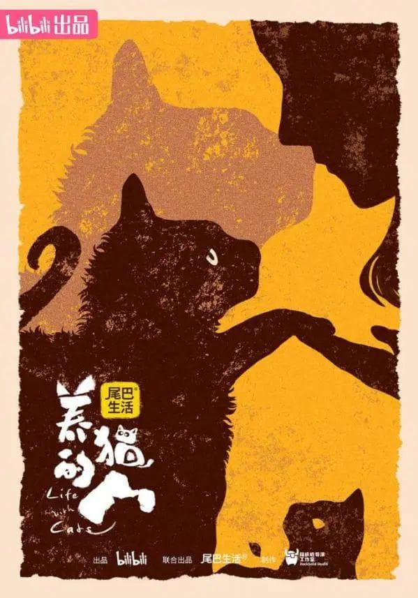 这部9.8分的“猫片”，看哭了无数人
