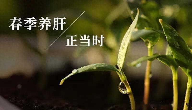 春养肝、夏养心、秋养肺、冬养肾！中医教你按照四季养脏器！