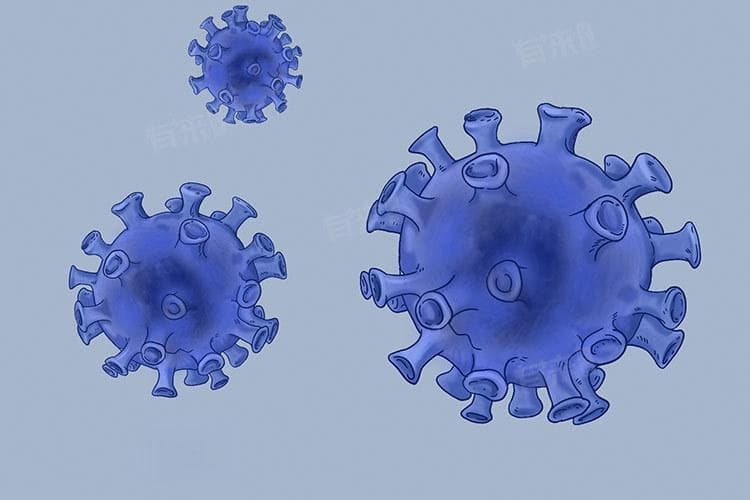 新冠抗体IgM与IgG阳性是什么意思？