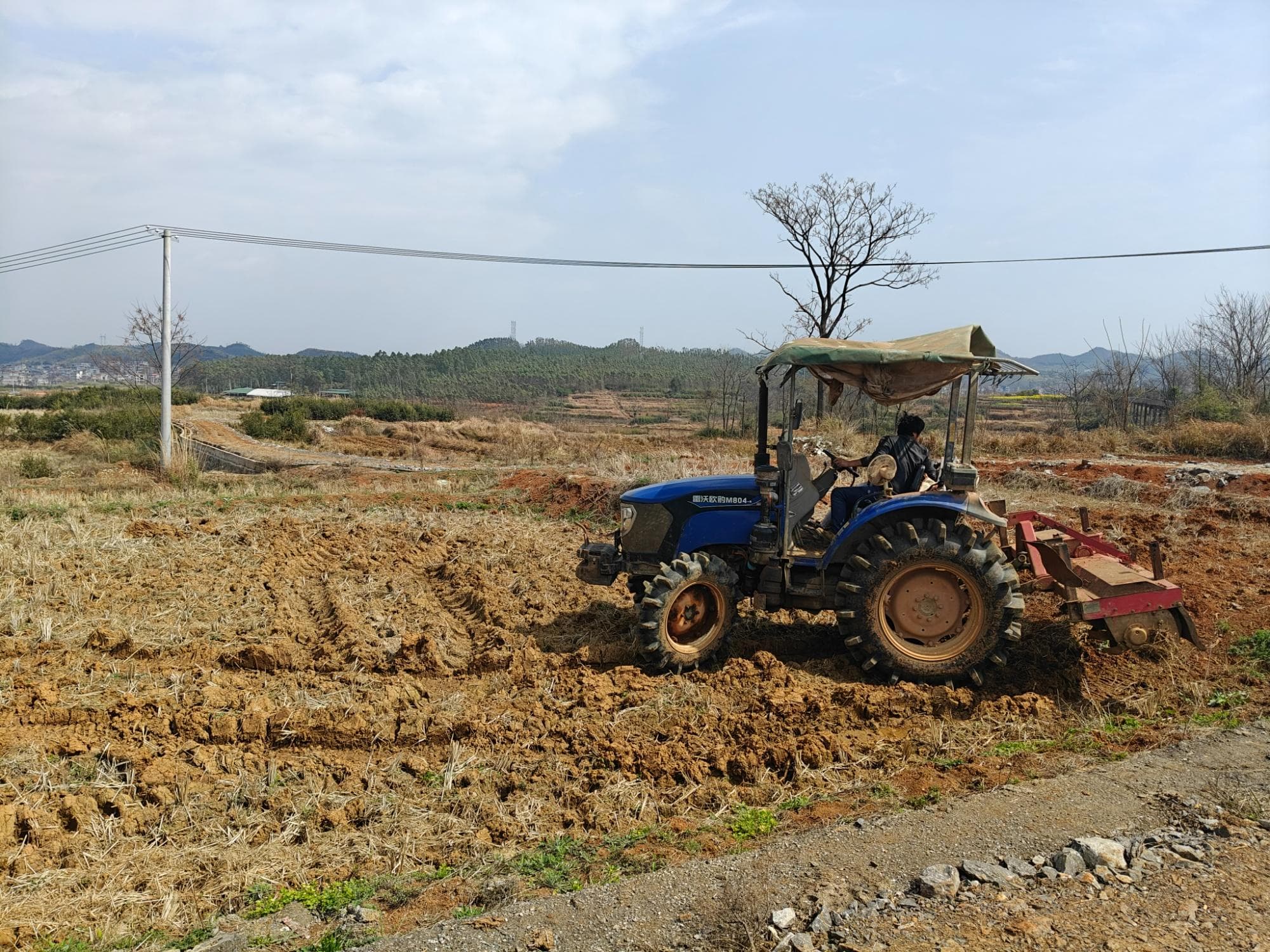 嘉禾守耕地红线 筑牢粮食安全根基