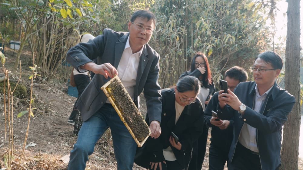 云南沧源：一罐黑蜜背后的产业突围