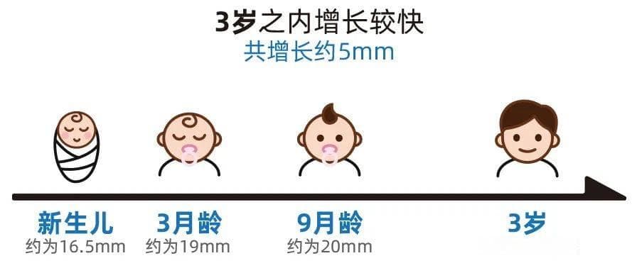 最新发布：我国儿童眼轴长度标准