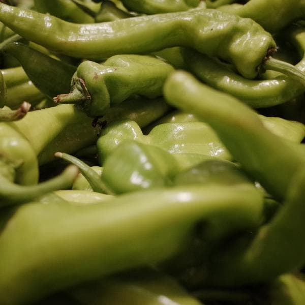 荠菜是什么样子的