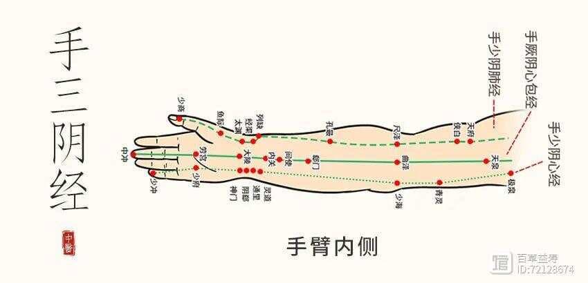 四肢上藏着12条经络，中医教你拍四肢，活关节，促循环，化淤堵