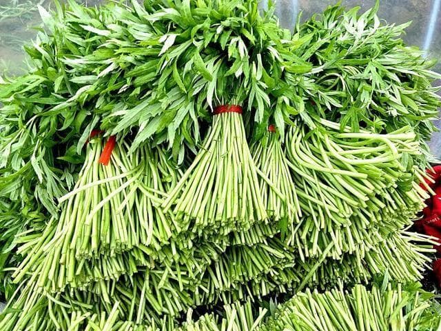 藜蒿新宠，美味营养双在线，健脾开胃，健康餐桌新选择！