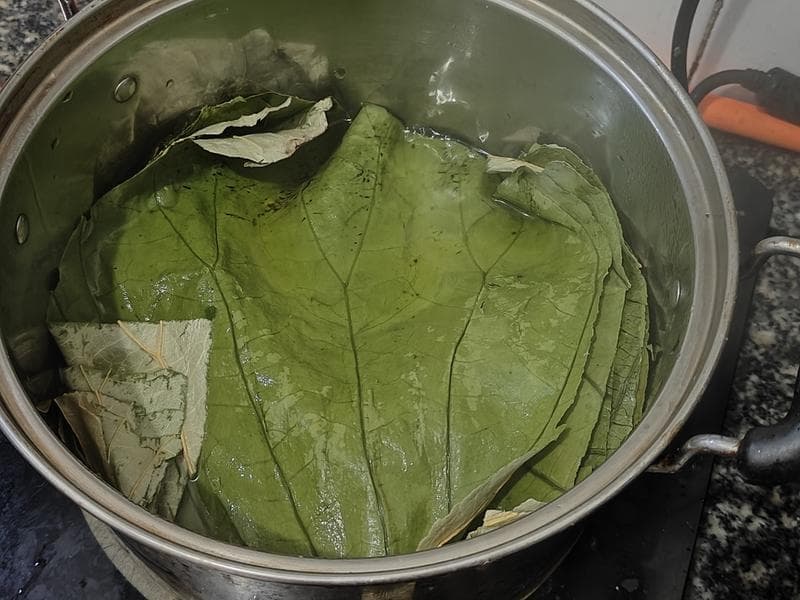 荷叶糯米鸡