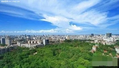 我国苗木种植行业现状及发展前景