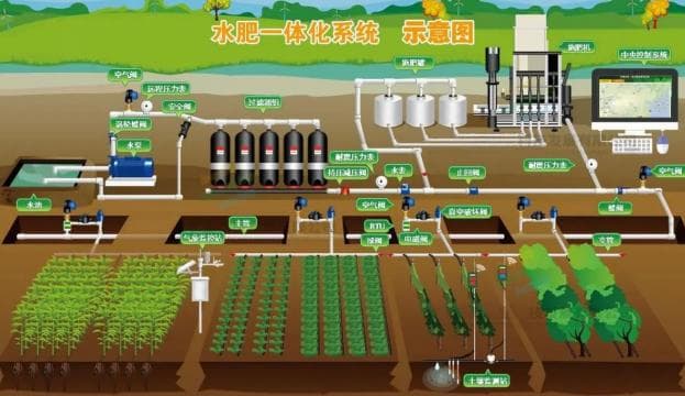 智能水肥一体化技术：现代农业的节水节肥新方案