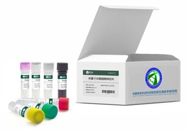 全球首款木薯液相育种芯片研发成功