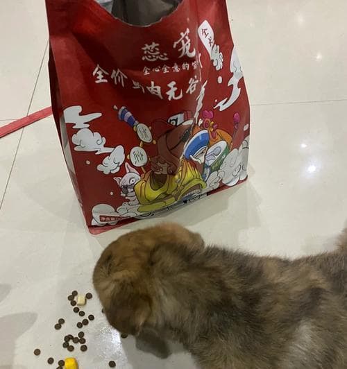 如何计算狗狗的正确喂食量？