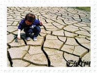 《节约用水_珍惜水资源》综合实践活动案例