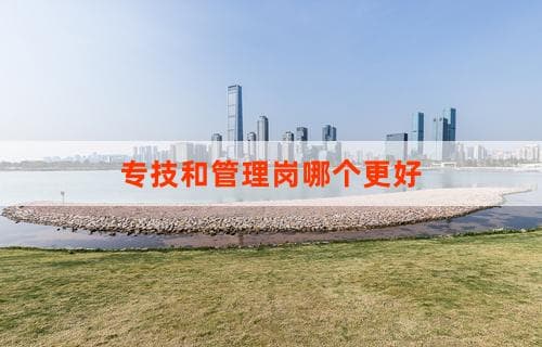 专技和管理岗哪个更好？ 职业选择分析与对比