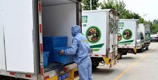 生鲜运输标准和要求：确保鲜活品质的保持与安全