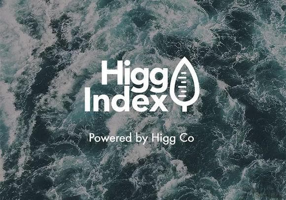 HIGG FEM申请流程及评估标准详解