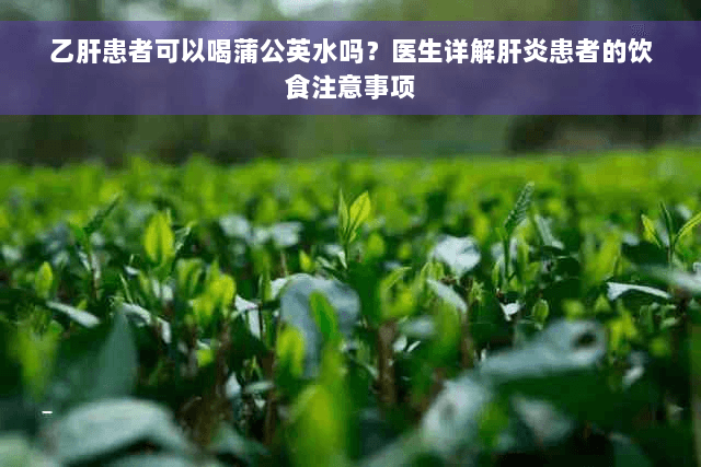 乙肝患者可以喝蒲公英水吗？医生详解肝炎患者的饮食注意事项
