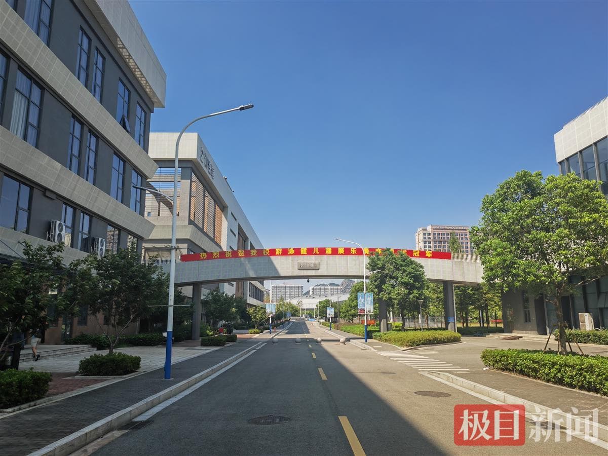 两教练揭秘潘展乐儿时习泳经历：游不好的惩罚是“禁游”，多练长距离以提高短距离成绩